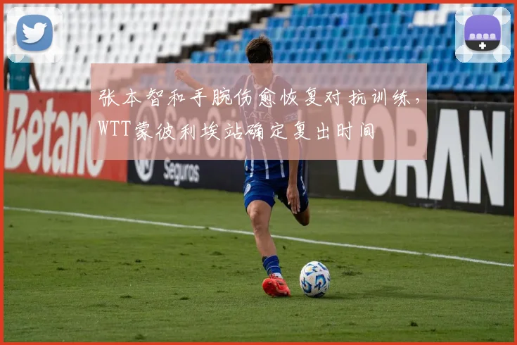 张本智和手腕伤愈恢复对抗训练,WTT蒙彼利埃站确定复出时间